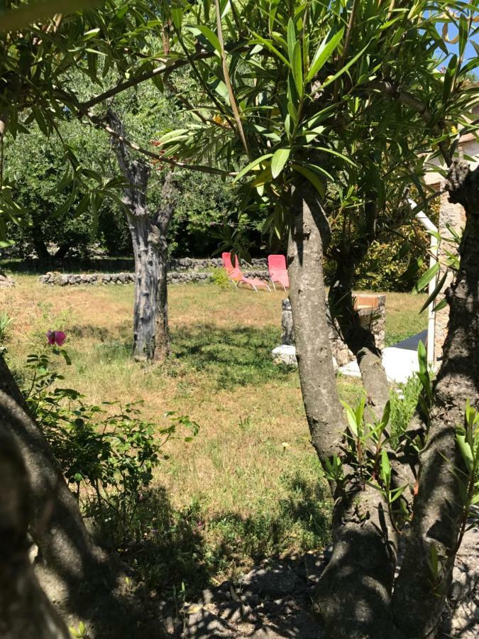 Villa Du Sud فونس المظهر الخارجي الصورة