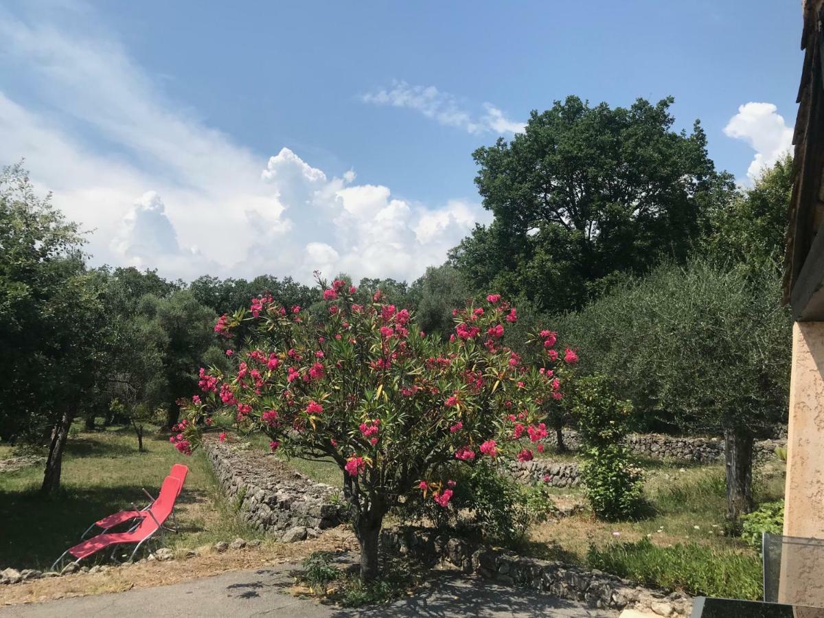 Villa Du Sud فونس المظهر الخارجي الصورة
